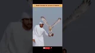 Dubai Crown Prince Sheikh hamdan Most Expensive An