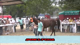 preview picture of video 'DON LYCHA/Chiks Right/Rulito(Gral.Paz-19/01/14-Gran Clásico 330Mtrs)'