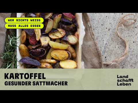 KARTOFFEL (4/4) Gesunder Sattmacher - Kochtypen, Sorten, Züchtung