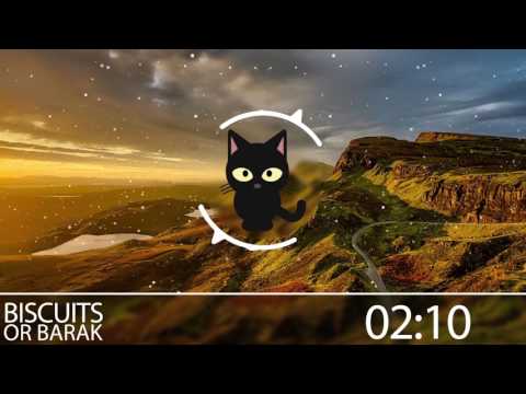 OR BARAK - BISCUITS