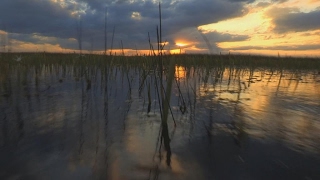 Climate change: Florida faces rising sea levels