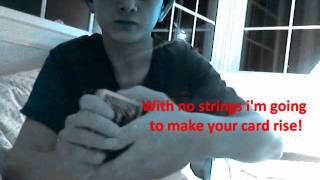 Download lagu The Hula Card mp3