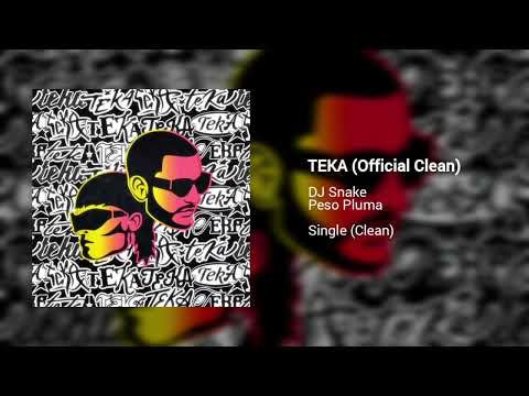 DJ Snake & Peso Pluma - Teka (Official Clean Version)