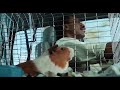 Dr Dolittle Comedy Scene 1 Tamil Dubbed HD