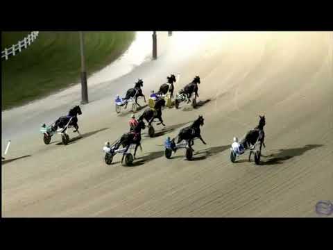 2020 Hoosier Park  - Biggest Win Payoff In BREEDERS CROWN History $409.80 to win!