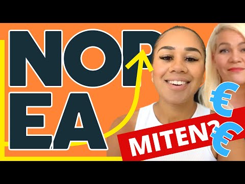 Menestynyt onlinebisnes muutamassa kuukaudessa (MITEN se tapahtui?)