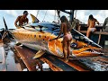 How American Fishermen Catch Yellowfin Tuna The Fastest Catching Millions With Longline Fishing