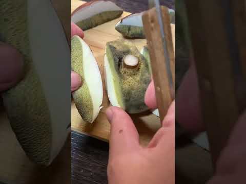 How to check if your bolete is good | Tips! #bolete  #cz #foraging  #cleaning #porcini #houby