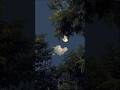 Sab Jhuthe Jhuthe Wade They Unke Aashiqui 2 Song Status Piya Aaye Na Ohohon Shorts Video