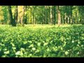 Тiнь Сонця - Песня Чугайстра (беларуская мова) 