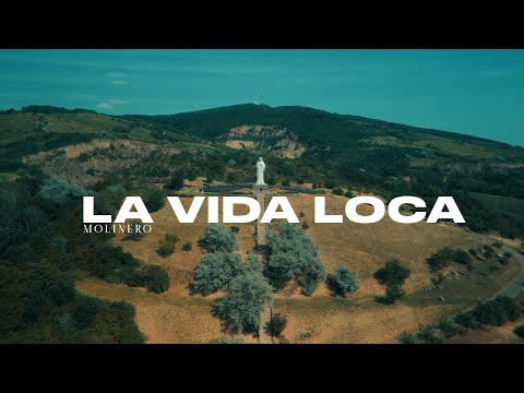 Molinero - La Vida Loca ( Official Music Video )