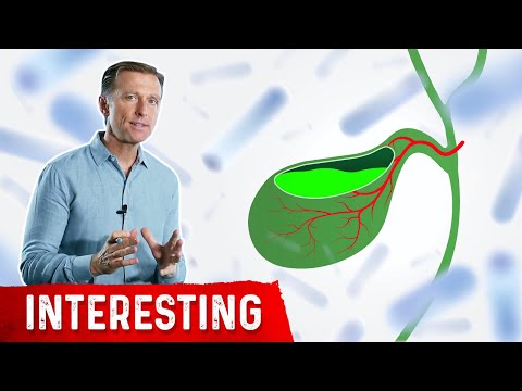 BILE What is BILE and Where is it Produced – Dr Berg