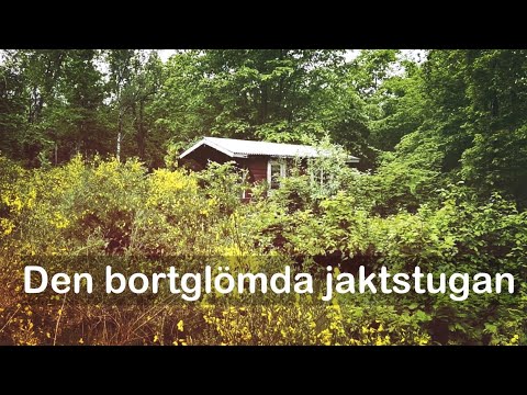 JAKTSTUGAN som helt glömdes bort - 2022-06-23 - Norr om KALLINGE - Blekinge - Huawei P40 PRO Plus