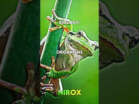 Chemistry ⚗️ vs Biology 🦠