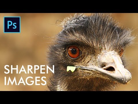 Sharpen any Image in Adobe Photoshop Urdu Hindi Eng Sub