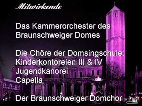 Braunschweiger Dom - Die Geburt Christi - Erklärungen und Information - Teil 4 - Orgelkonzert