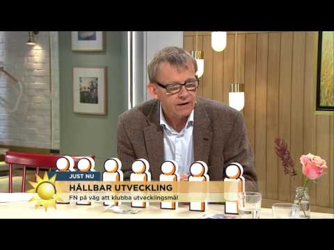 Detta är FN:s nya målsättning - Nyhetsmorgon (TV4)