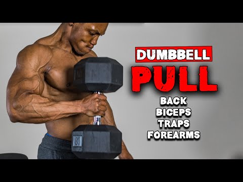 DUMBBELL PULL WORKOUT FOR BUILDING MUSCLE MASS | BENCH OR NO BENCH (FULL WORKOUT)