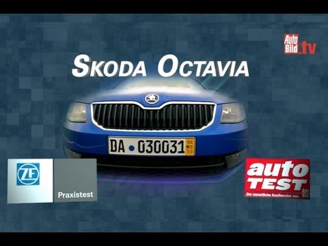 Skoda Octavia in the ZF practical test 2013