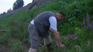 preview picture of video 'Ribolov bucova glavinjarom na rijeci Savi'