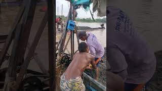 Download lagu Pasirnya dalam sekali #shortvideo #semangat #pekerjakeras #penambangpasir #bengawansolo mp3