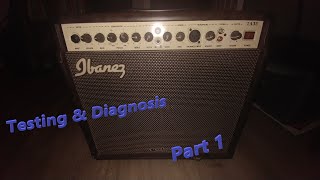 Video thumbnail for Ibanez TA35 Troubadour Testing, Diagnosis and Refresh Part 1 by Having Fun Repairs