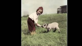 🎵Remind me, Dear Lord ~alison krauss