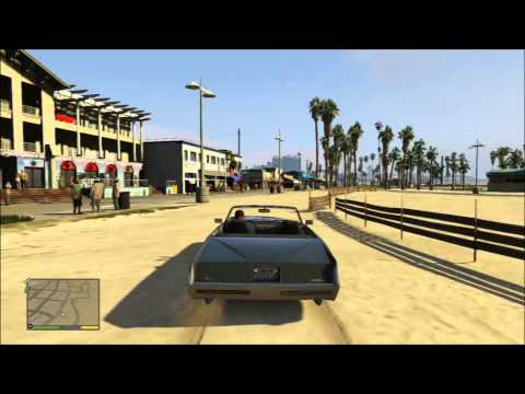 Venice Beach Video