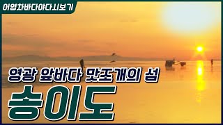 한 마리 200원! 한겨울 맛조개 잡이로 뜨거운 영광 송이도 #몽돌해변 #넓은 모래사장 #맛조개 #대합 #맛…