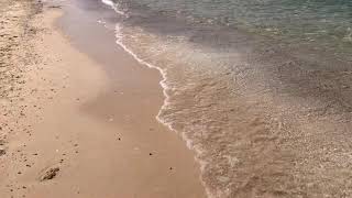 Видео об отеле The Three Corners Sea Beach Resort, 1