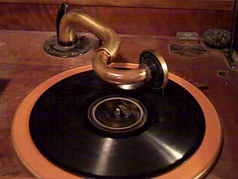 CALIFORNIA RAMBLERS TED WALLACE - CHANGES - ROARING 20'S VICTROLA 8-30