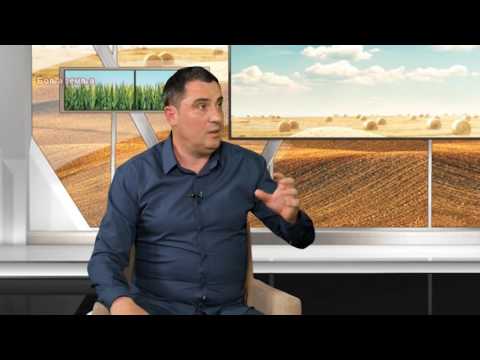 Zastita jabuke galenikinim preparatima