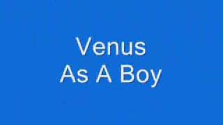 Venus As A Boy Realistic Orchestra