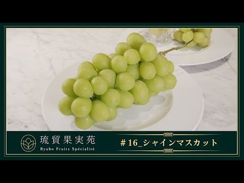 売り切れました！！フルーツゾンビ オーファン ぶどう