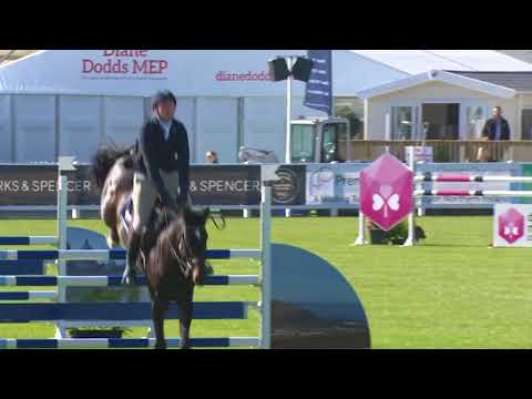 Premier Titanium Winner Balmoral 5yo Championship 2017