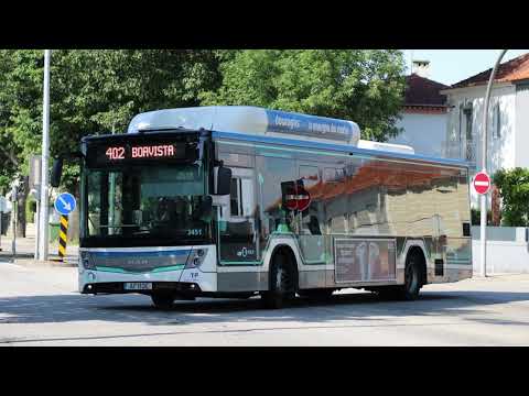 STCP 3458 (audio recording - collab)