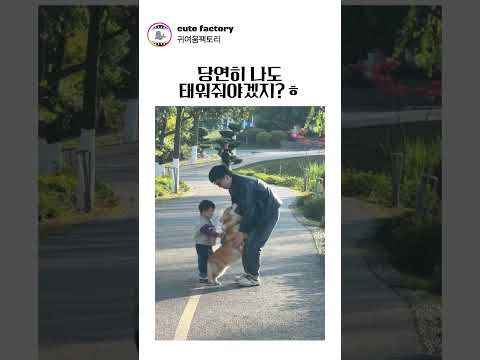 아기를 한명만 낳은 이유ㅎ #강아지 #고양이 #귀여운 #귀여움