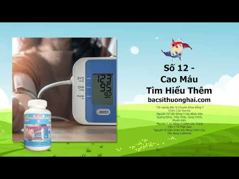CAO MÁU & CUỘC SỐNG HOA KỲ | Bác Sĩ Thượng Hải | Sức Khỏe Đời Sống | Số 12 - Cao Huyết Hoàn (Phần 1)