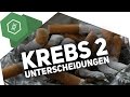 Gutartige Und Bösartige Tumore Unterschied Krebs 2