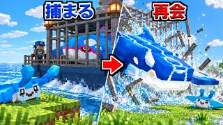 もう会えないと思っていたカイオーガが再会する物語 ポケモン MOD【マイクラ】【マインクラフト】