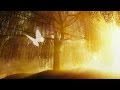 Peaceful Music, Relaxing Music, Instrumental Music, "Heaven's Light" by Tim Janis
