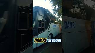 Download lagu DAMRI menyapa Basuri⁉️#damri #busviral #busartis #busmania #business #hunting #telolet #bus #trip mp3 Download lagu DAMRI menyapa Basuri⁉️#damri #busviral #busartis #busmania #business #hunting #telolet #bus #trip mp3