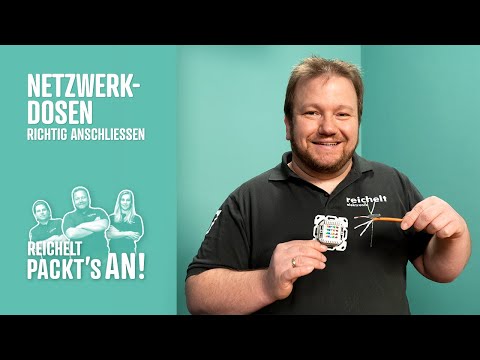 Netzwerkdosen richtig anschließen | reichelt packt's an