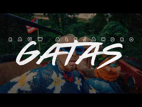 Rauw Alejandro, Chris Palace - GATAS