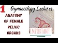 GYNAECOLOGY LECTURES INICET UPSCCMS JIPMER AIAPGET NEET FMGE USMLE OBG MCQ NOTES