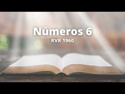 Numbers 6 - Reina Valera 1960 (Audio Bible)
