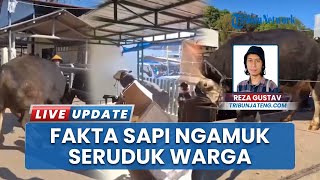 Fakta Sapi Ngamuk Seruduk Warga di Pasar Hewan Ambarawa hingga Pemilik Diminta Ganti Rugi Rp 8 Juta