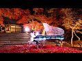 Without You Composed By YOSHIKI Piano Concerto