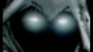 NINFA ARTEMIS * Sisyphean : VIDEO &amp; LYRICS (ITUNES album SISYPHEAN)