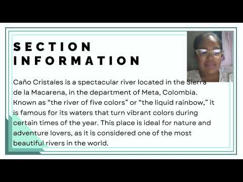 Colombia Travel Bucket List blog - Caño cistales, La macarena Meta